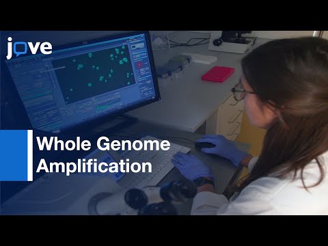 Advancements in Whole Genome Amplification Techniques