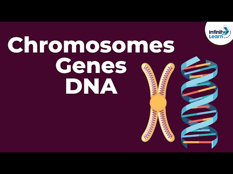 DNA and Genes: Foundations of Life and Heredity Science