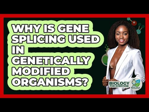 Genetic Splicing and Its Role in Modern Biotechnology
