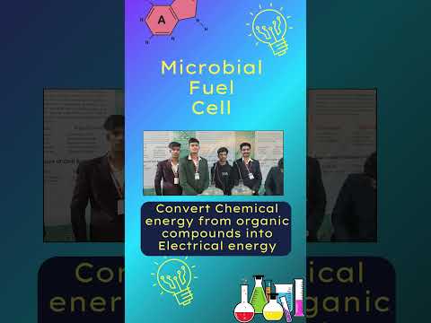 Advancements in Chemical Petroleum Engineering and Sustainability