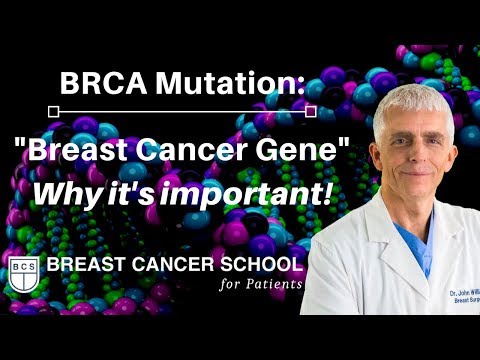 BRCA2 Gene Role in Cancer Risk and Genetic Testing