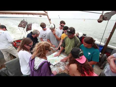 Pursuing an Online Degree in Marine Biology for Impactful Science