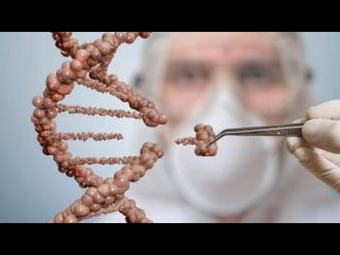 Monsanto and the Science of Genetically Modified Crops