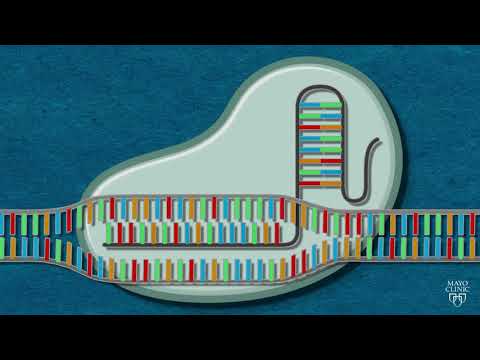 Advancements in Therapeutic Gene Applications for Medicine