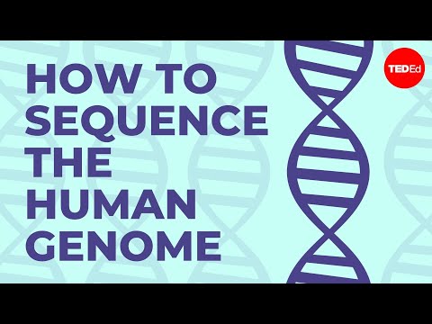 Human Genetics Project: Advancing Our Understanding of DNA
