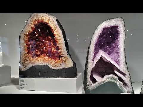 Harvard Mineralogical Museum: A Gateway to Earth Sciences