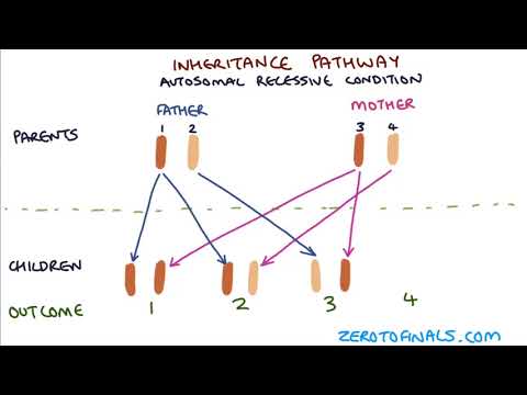Genetic Basis of Widow's Peak and Its Inheritance Patterns