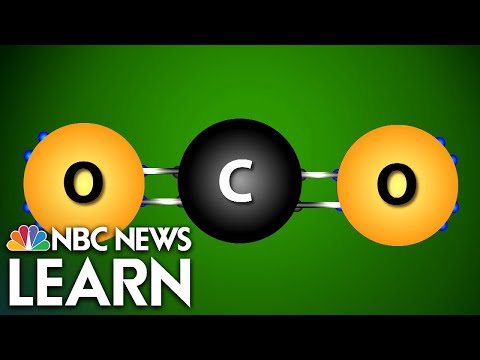 Molecular Structure of Carbon Dioxide in Environmental Science