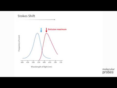 Fluorescent Spectrometry in Modern Scientific Research