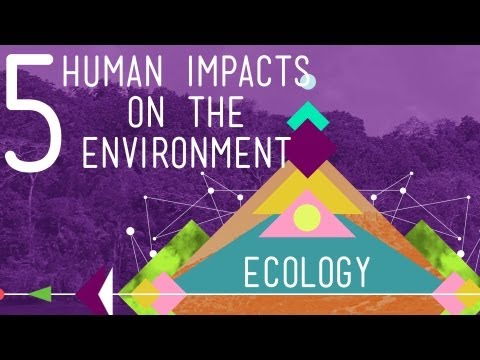 Human Influence on Climate Change: A Scientific Perspective