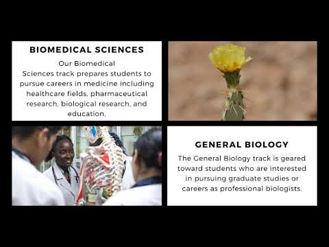 Connecting Ecology and Evolutionary Biology Through Outreach