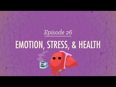 Health Psychology and Its Role in Mental Well-Being