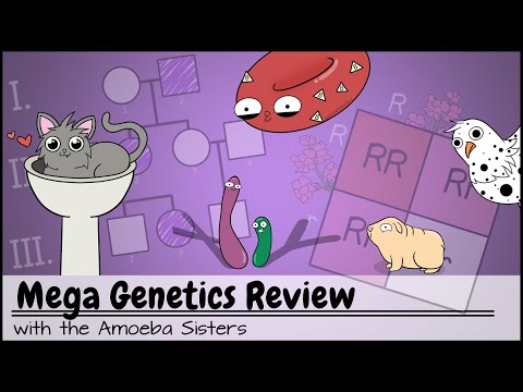 Non Mendelian Inheritance in Modern Genetic Research
