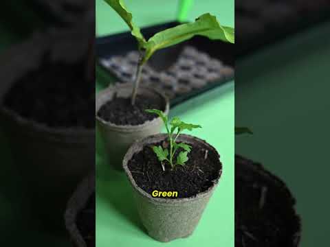 Innovations in Renewable Energy for a Sustainable Future