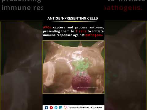 MHC Gene: Key to Immune Response and Disease Resistance