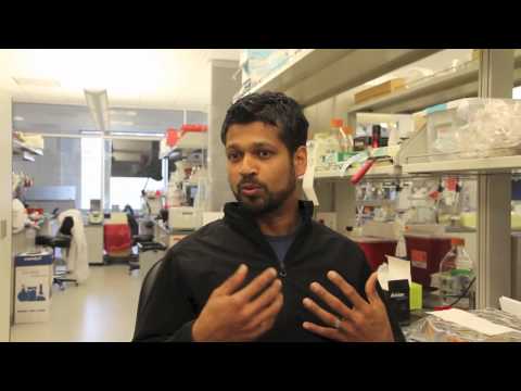 Advances in Systems Biology and Scientific Communication