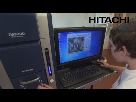 Enhancing STEM Research Through EDS in Scanning Electron Microscopy