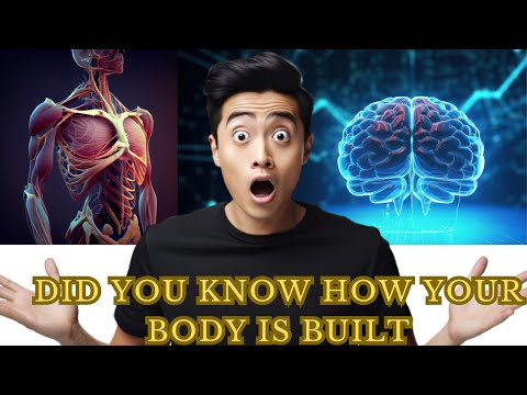 Anatomy Unveiled: A Journey Through Human Organs