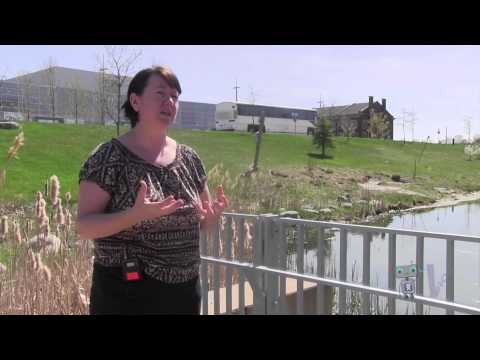 Advancements in Aquatic Ecology and Its Importance for Ecosystems