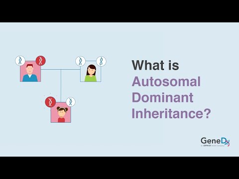 Autosomal Dominant Inheritance in Human Genetics Explained