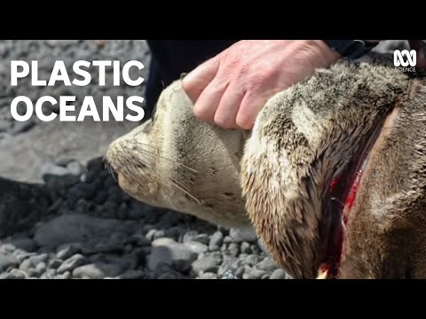 Scientific Insights into Ocean Pollution Causes and Effects
