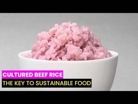 Genetically Modified Meat and its Role in Sustainable Food Systems