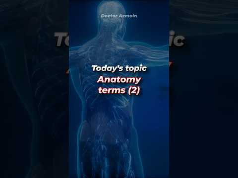 Engaging Anatomy and Physiology Quizzes for Science Lovers