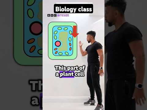 Innovative Approaches in System Definition Biology