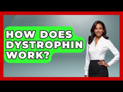 Dystrophin Gene: A Key Player in Muscle Health and Disease