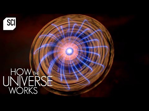 The Role of Magnetic Fields in Our Universe