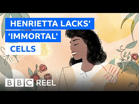 The Significance of HeLa Cells in Modern Research