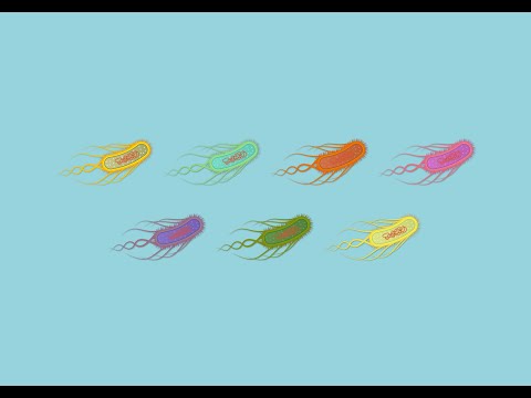 The Taxonomy of Escherichia coli in Modern Science