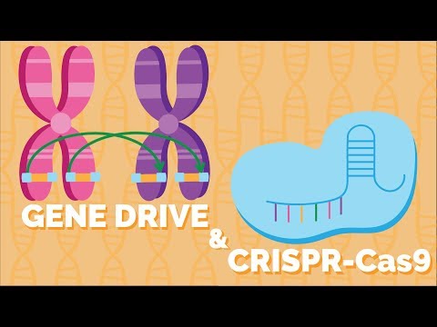 Gene Drive Technology and Its Role in Genetic Research