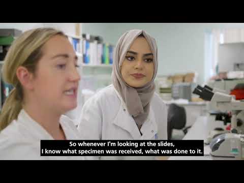 Innovations in Pathology Laboratories and Their Scientific Role