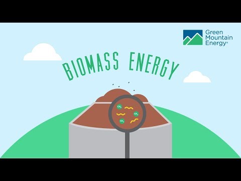 Harnessing Biomass for Sustainable Electricity Production