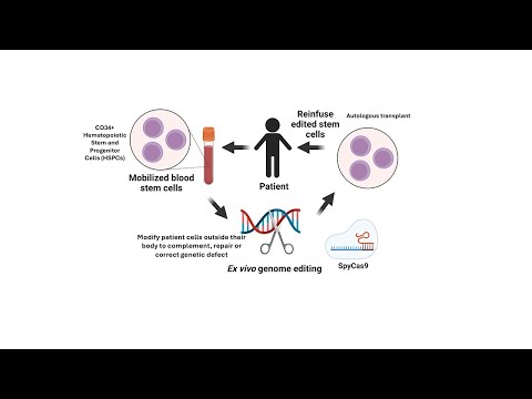 Advancements in Gene Therapy for Sickle Cell Disease