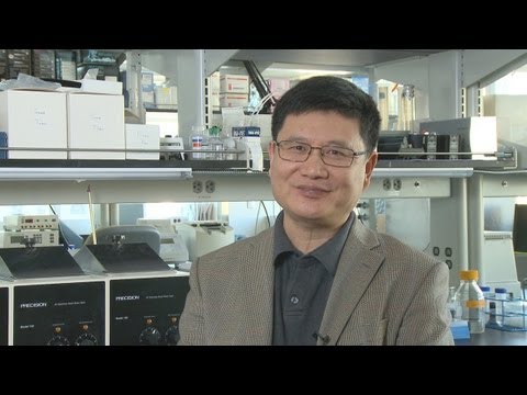 Innovations in Chemical Biomolecular Engineering for Health Solutions