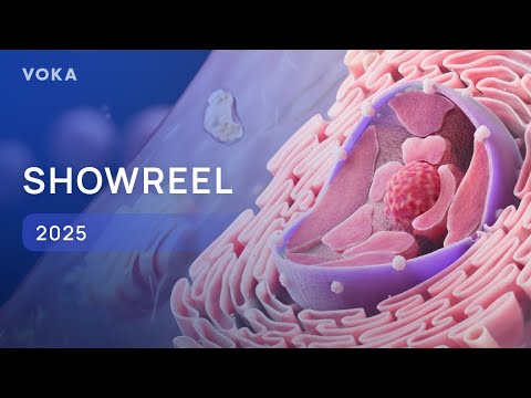Innovative Approaches in 3D Anatomy Visualization Techniques