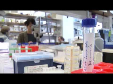 Advancing Global Public Health Through Scientific Outreach
