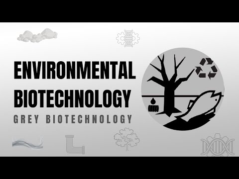 Innovative Strategies in Environmental Biotechnology Research