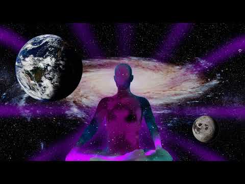 Ape Evolution: Insights into Our Primate Ancestry and Adaptations