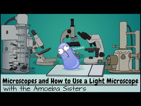 Enhancing Scientific Outreach Through Biology Microscopes