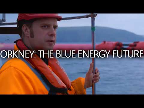 Harnessing Blue Energy for a Sustainable Future