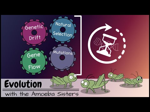 Defining Evolution in Biological Contexts and Its Significance