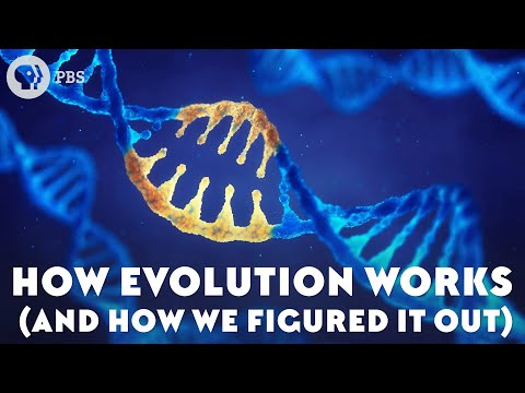 Science Behind Evolutionary Theories and Their Importance