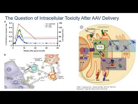 Advancements in Gene Therapy for Hemophilia Treatment