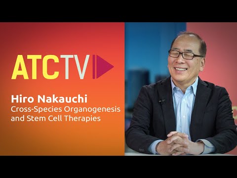 Innovations in Hematopoietic Stem Cell Research and Therapy
