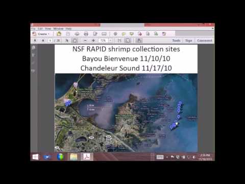 Advancing Scientific Outreach in Environmental Health