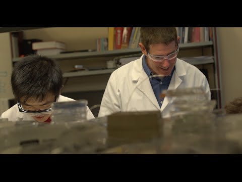 Innovations at the Intersection of Biology and Medicine