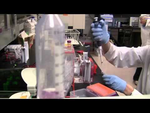 Promoting Public Health Through Nutrition Science Outreach